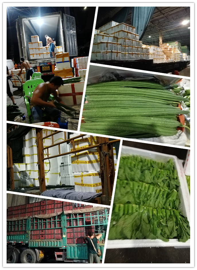 beat·365(中国)唯一官方网站