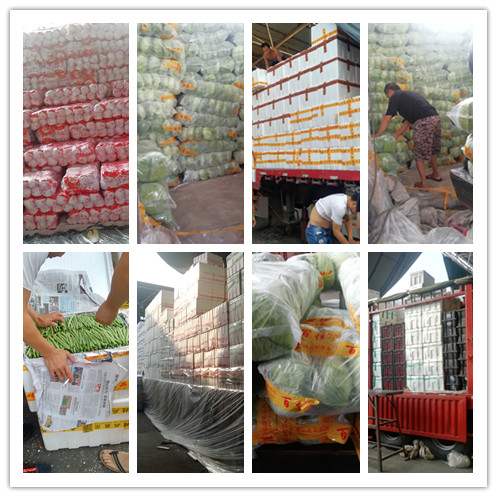 beat·365(中国)唯一官方网站