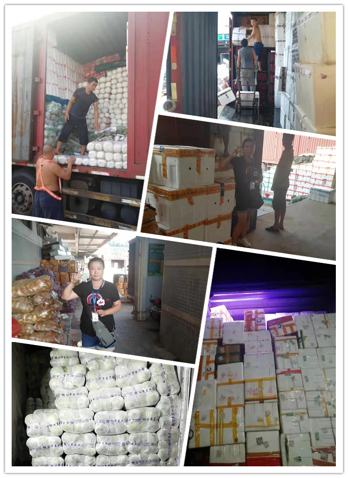 beat·365(中国)唯一官方网站