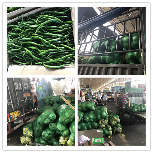 beat·365(中国)唯一官方网站