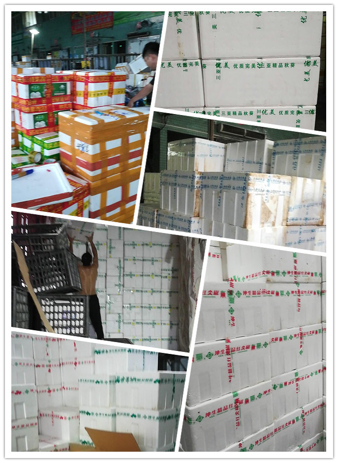 beat·365(中国)唯一官方网站