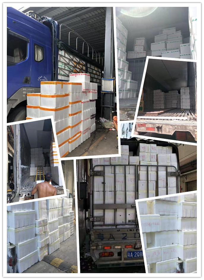 beat·365(中国)唯一官方网站