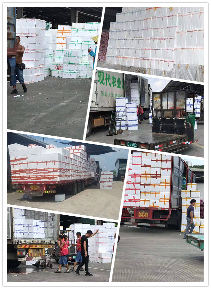 beat·365(中国)唯一官方网站