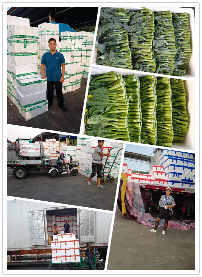 beat·365(中国)唯一官方网站