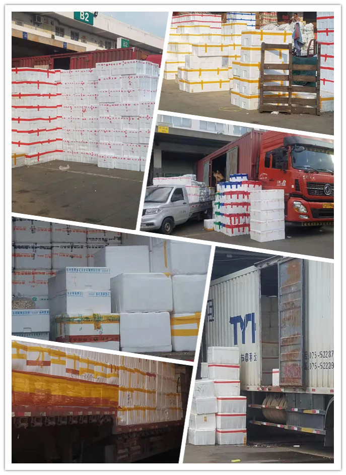 beat·365(中国)唯一官方网站