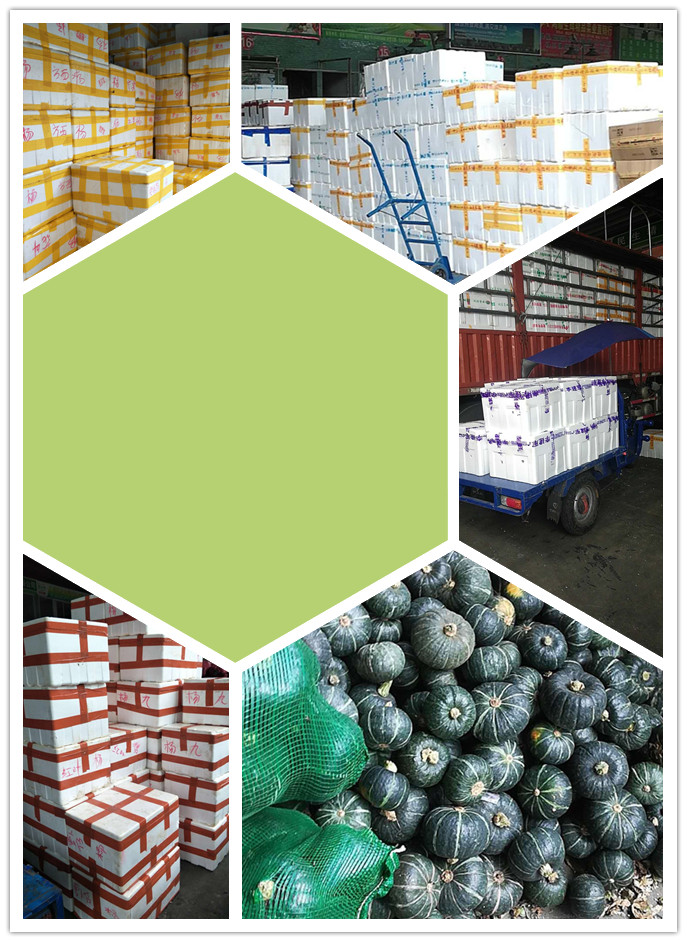 beat·365(中国)唯一官方网站