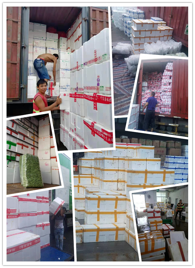 beat·365(中国)唯一官方网站