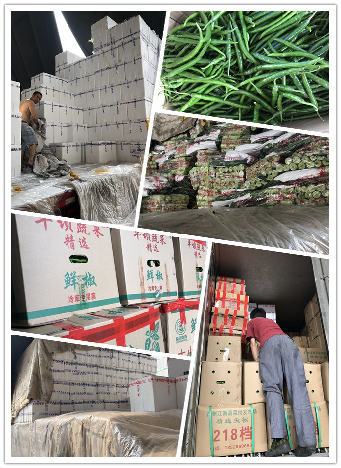 beat·365(中国)唯一官方网站