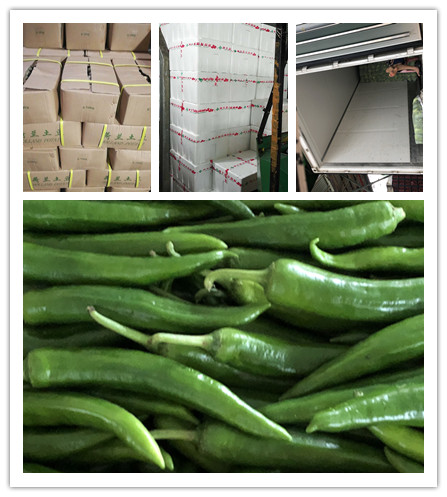 beat·365(中国)唯一官方网站