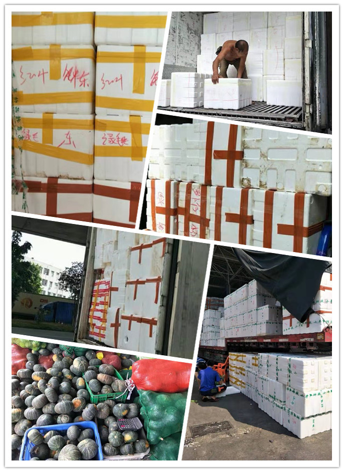 beat·365(中国)唯一官方网站