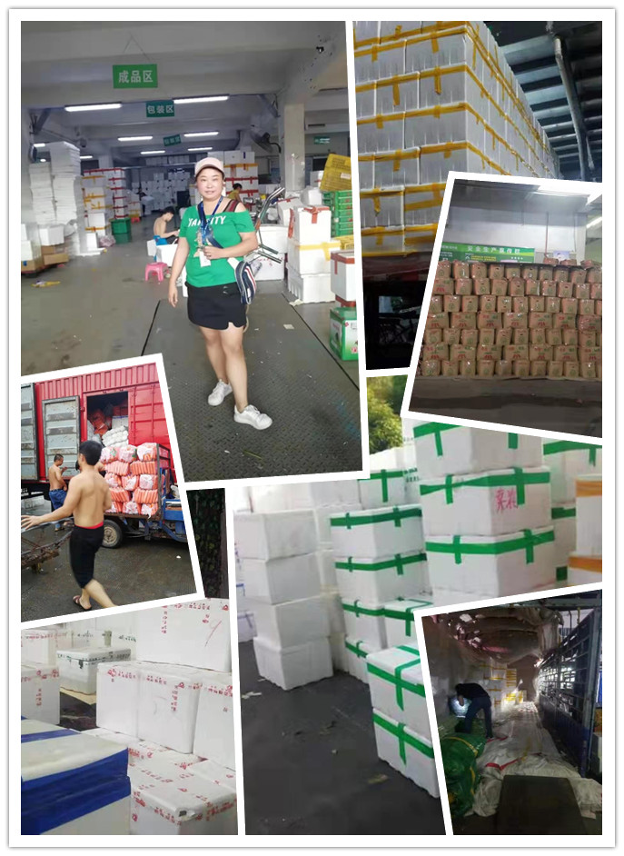 beat·365(中国)唯一官方网站