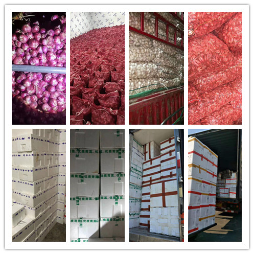 beat·365(中国)唯一官方网站