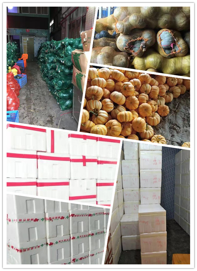 beat·365(中国)唯一官方网站