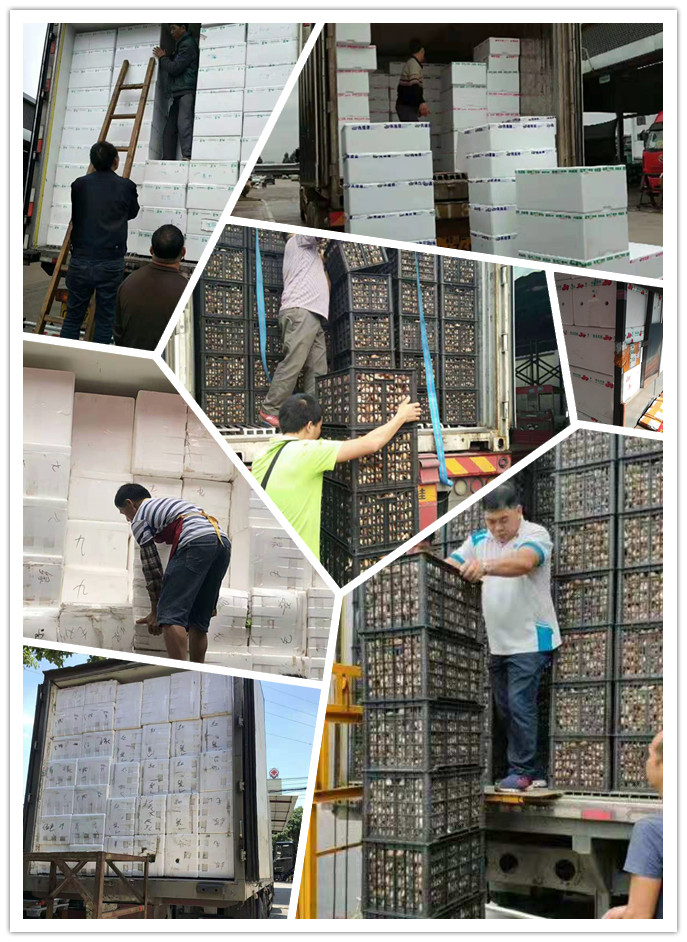 beat·365(中国)唯一官方网站