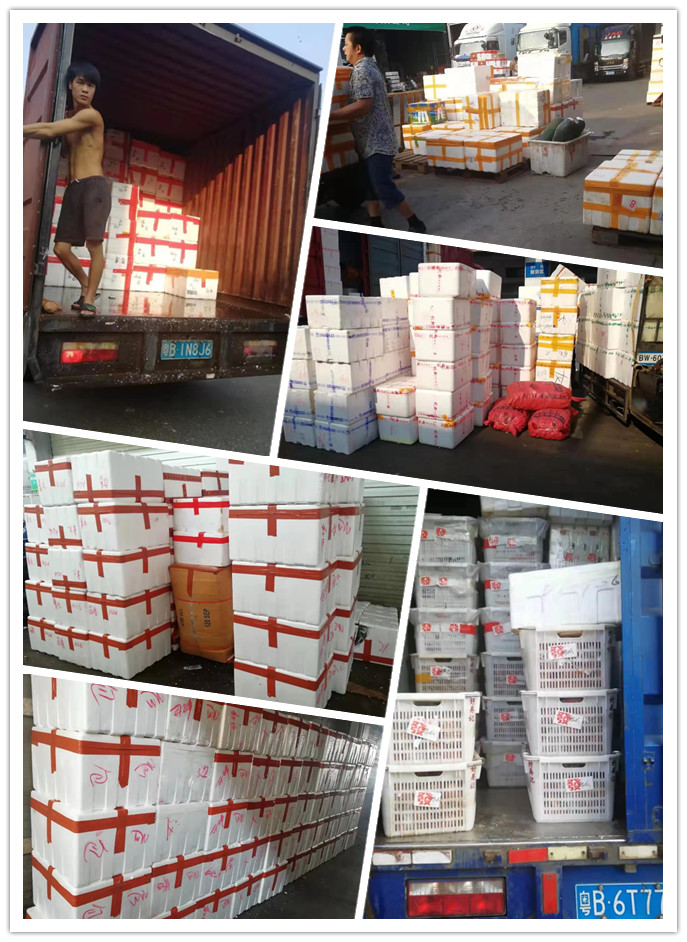 beat·365(中国)唯一官方网站