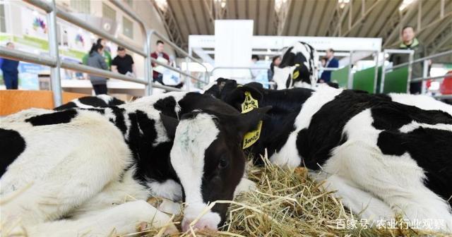 beat·365(中国)唯一官方网站