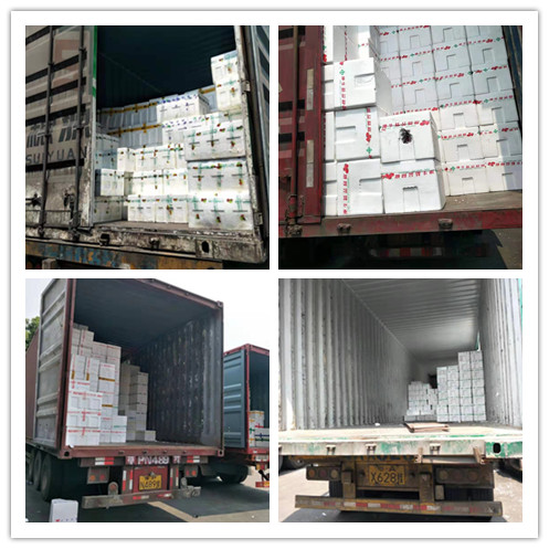 beat·365(中国)唯一官方网站