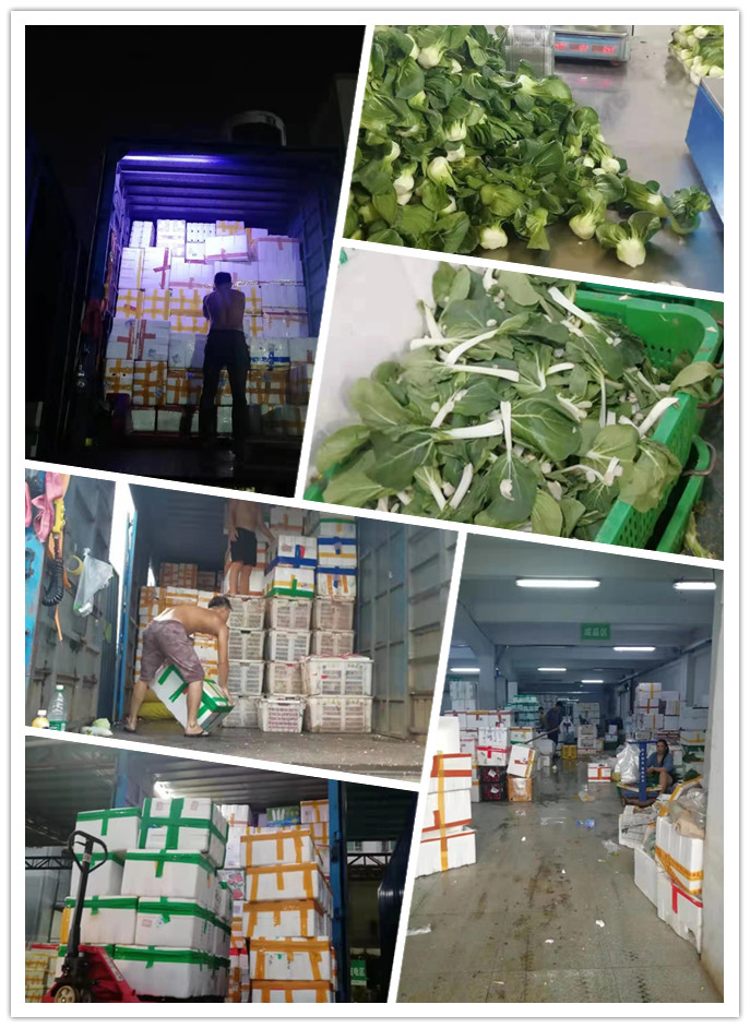 beat·365(中国)唯一官方网站