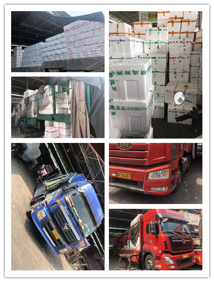 beat·365(中国)唯一官方网站