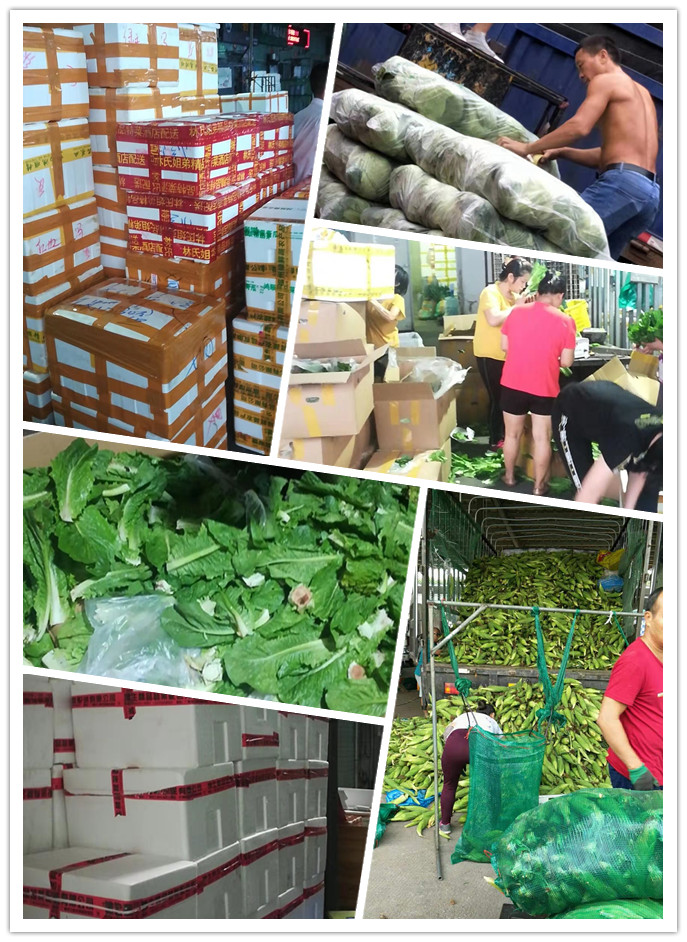 beat·365(中国)唯一官方网站