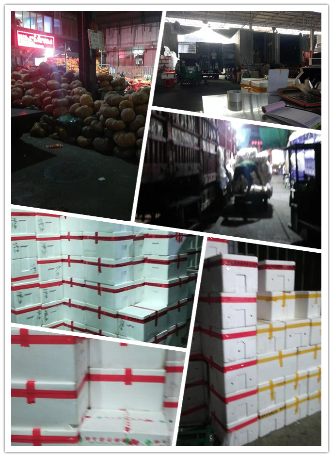 beat·365(中国)唯一官方网站