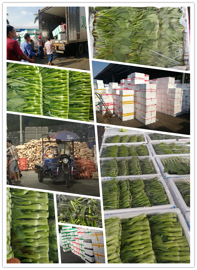 beat·365(中国)唯一官方网站