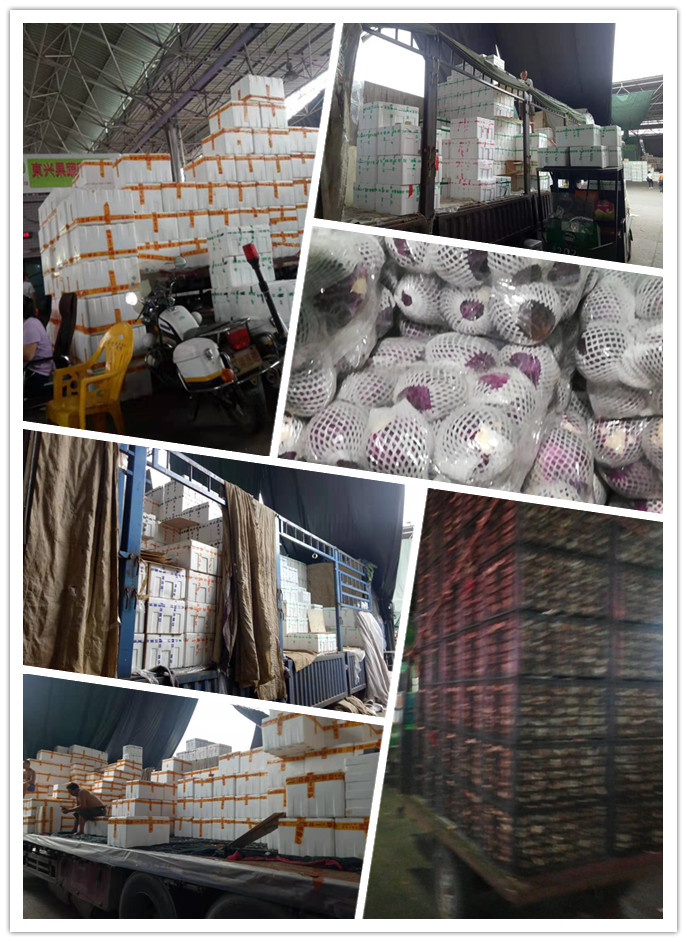 beat·365(中国)唯一官方网站