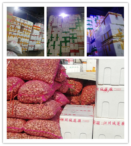 beat·365(中国)唯一官方网站