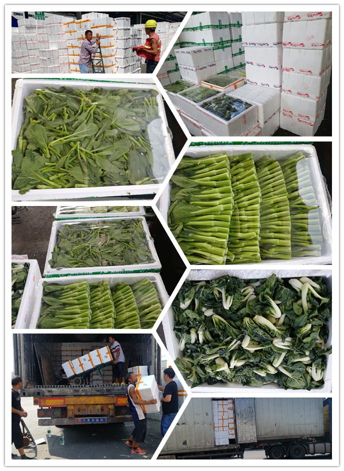 beat·365(中国)唯一官方网站