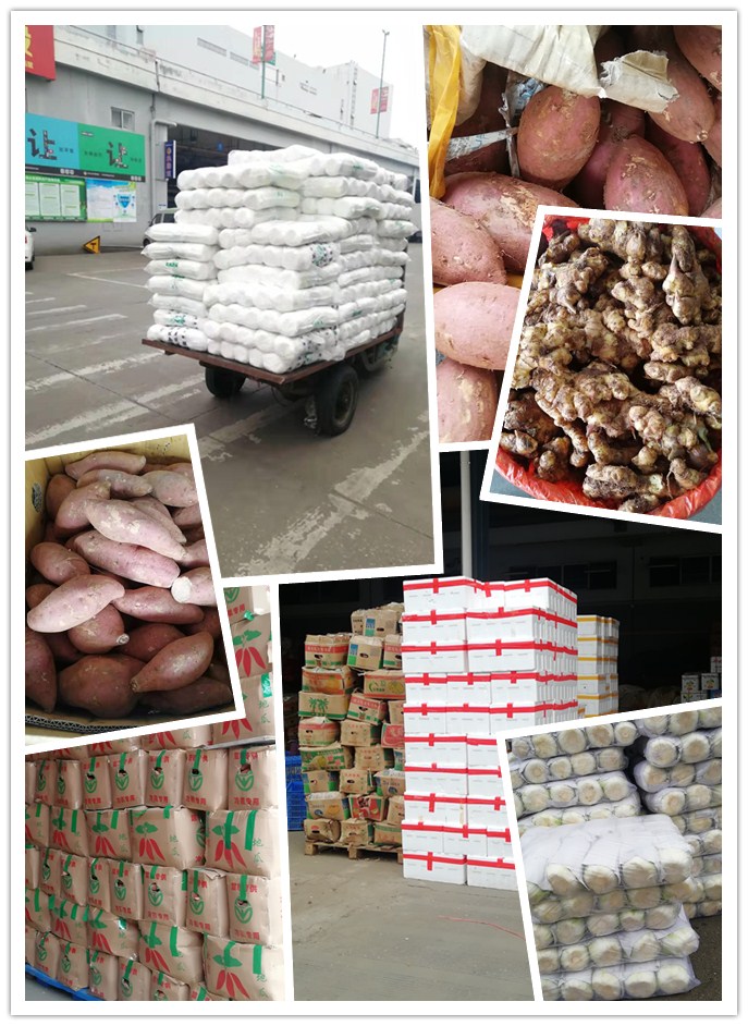 beat·365(中国)唯一官方网站