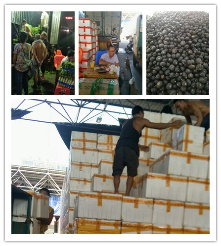 beat·365(中国)唯一官方网站