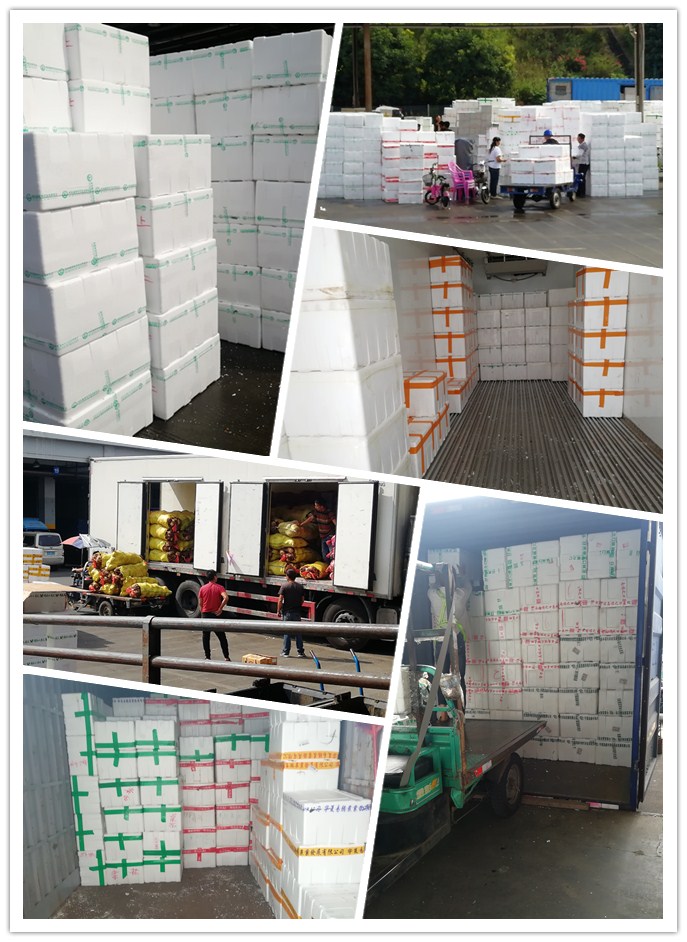 beat·365(中国)唯一官方网站