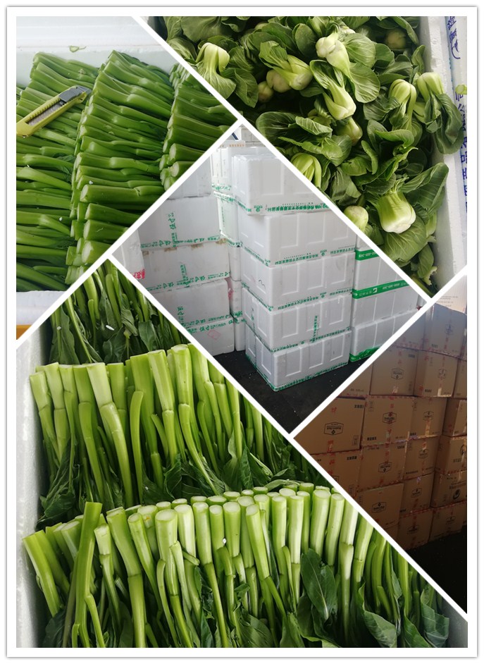 beat·365(中国)唯一官方网站