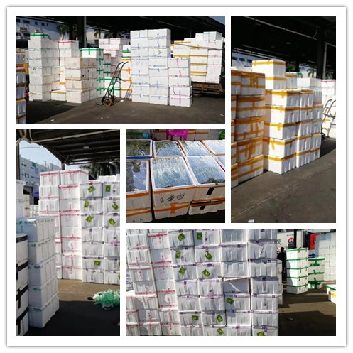 beat·365(中国)唯一官方网站