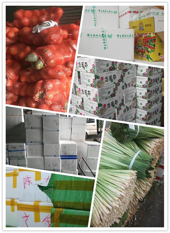 beat·365(中国)唯一官方网站