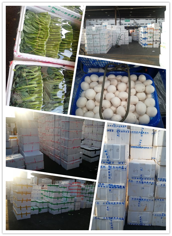 beat·365(中国)唯一官方网站