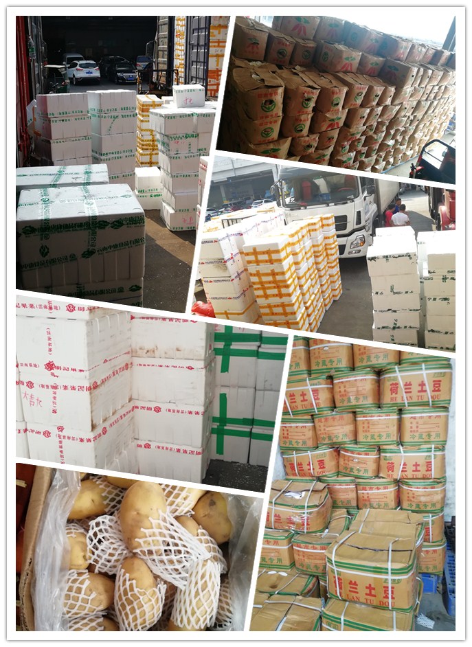 beat·365(中国)唯一官方网站