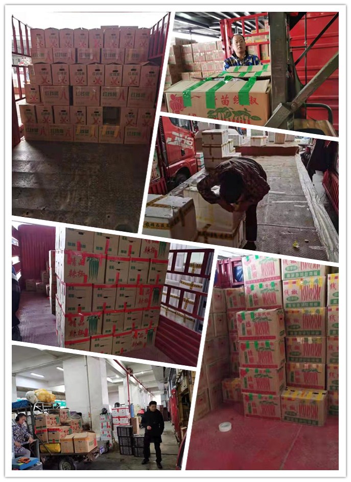 beat·365(中国)唯一官方网站