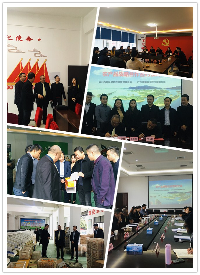 beat·365(中国)唯一官方网站