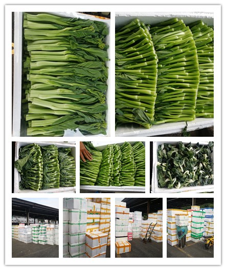 beat·365(中国)唯一官方网站