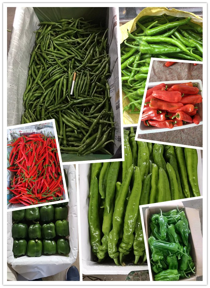 beat·365(中国)唯一官方网站