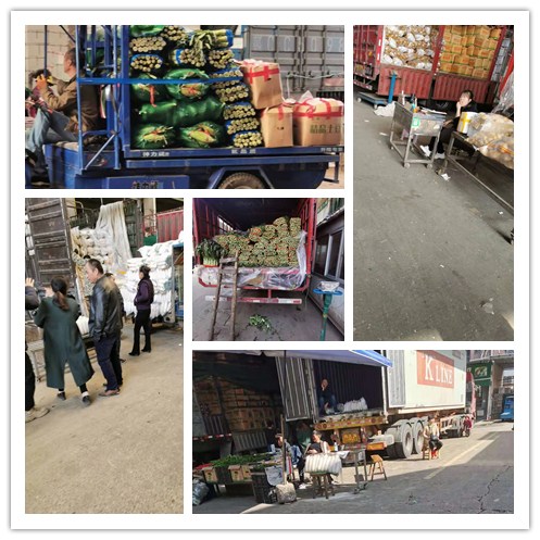 beat·365(中国)唯一官方网站