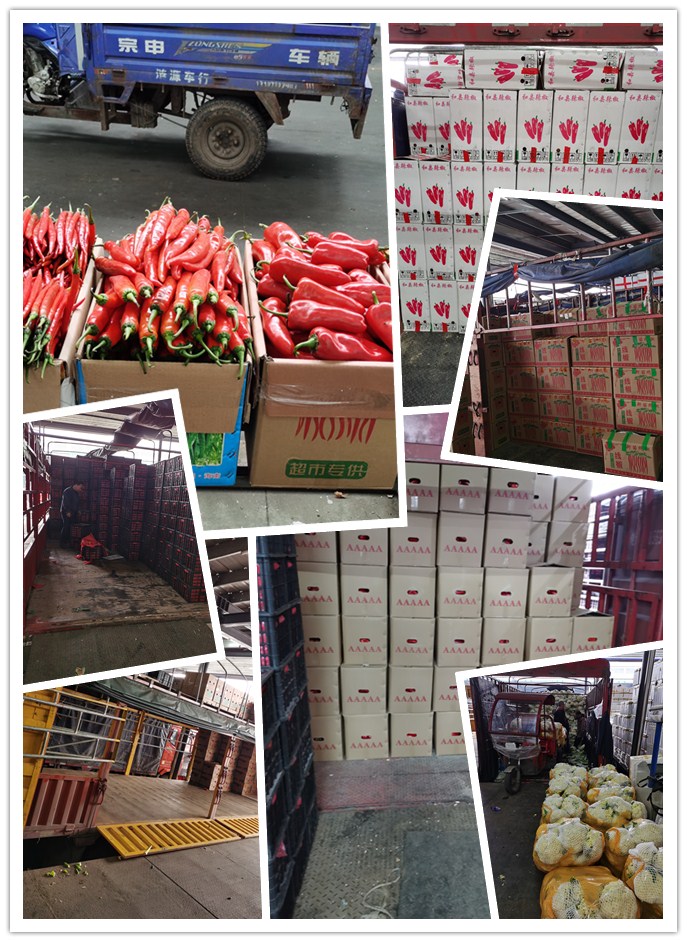 beat·365(中国)唯一官方网站