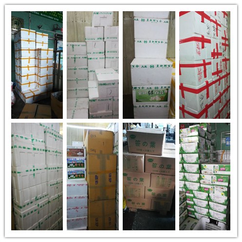 beat·365(中国)唯一官方网站