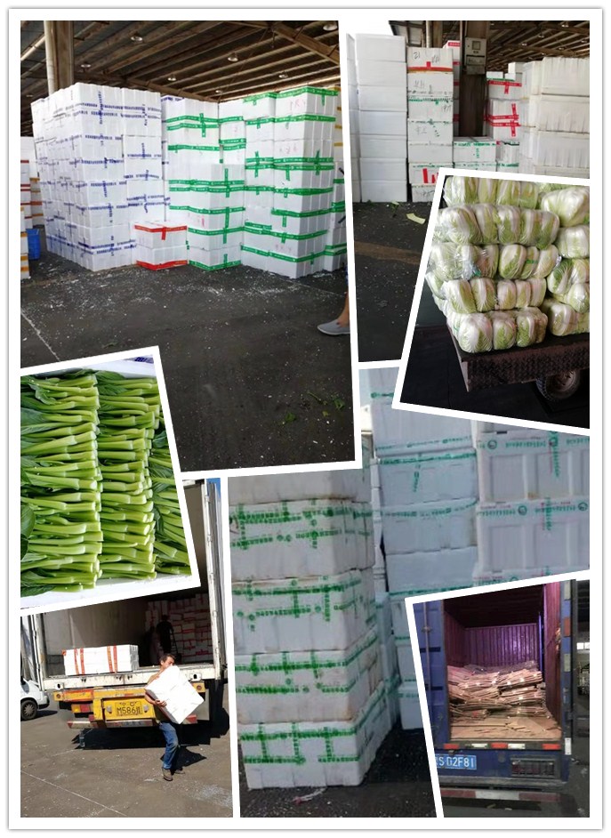 beat·365(中国)唯一官方网站