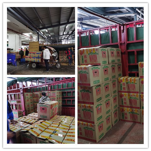 beat·365(中国)唯一官方网站