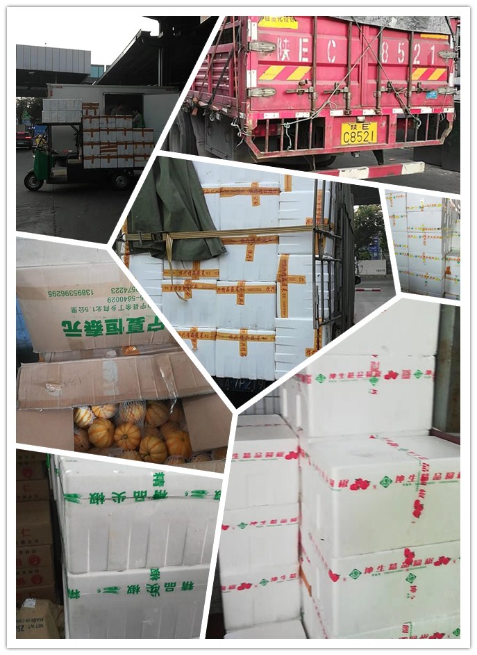 beat·365(中国)唯一官方网站