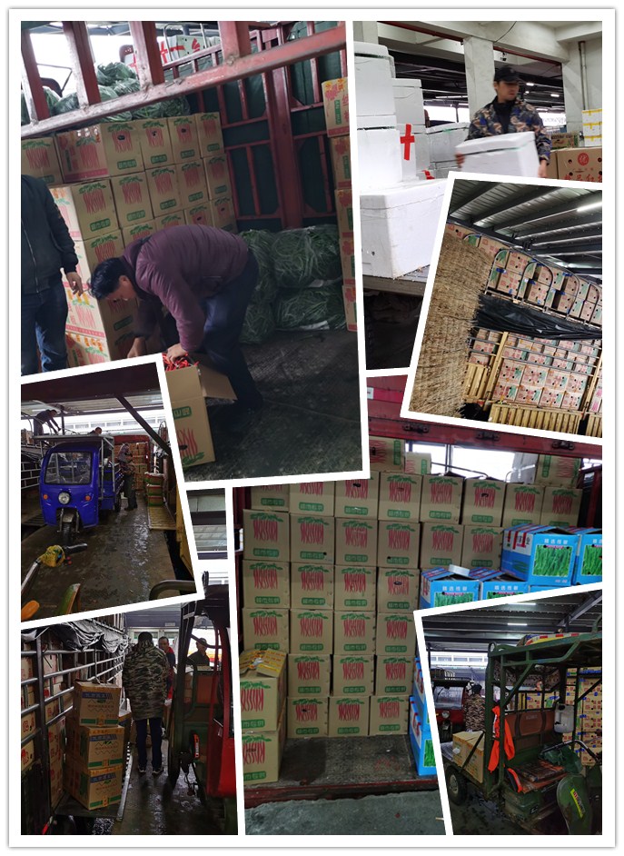 beat·365(中国)唯一官方网站