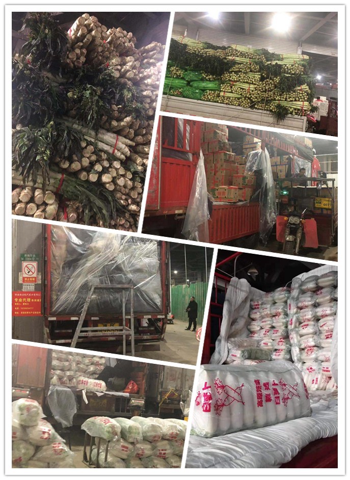 beat·365(中国)唯一官方网站