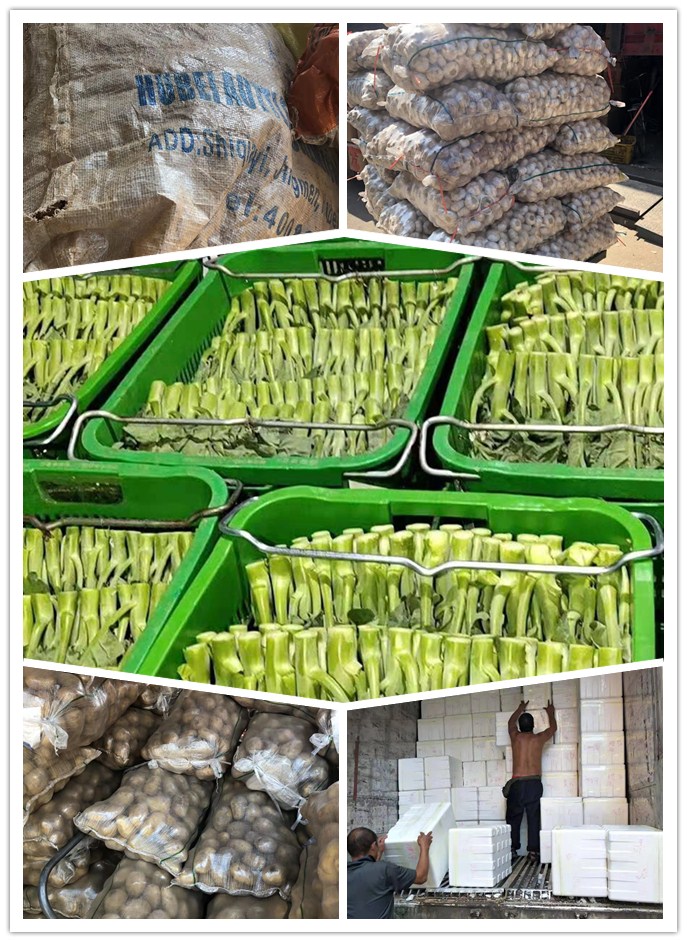 beat·365(中国)唯一官方网站